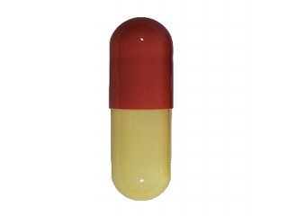 Cenmox<br><span style="font-weight: normal;">(Amoxicillin)</span>